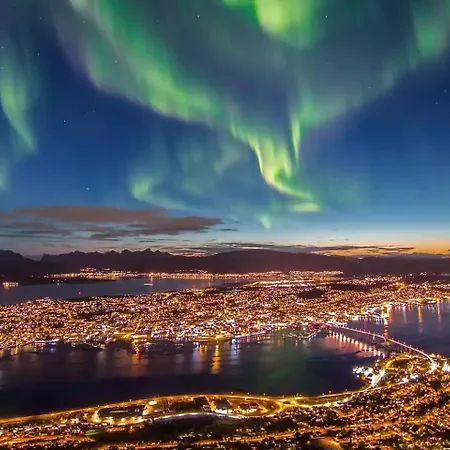 Arctic Elegance By Paramount