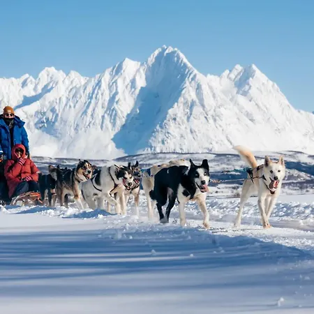 Arctic Elegance By Paramount トロムソ
