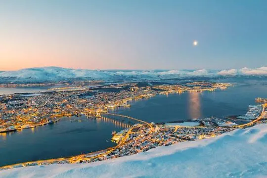 Arctic Elegance By Paramount Willa