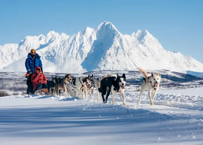 Arctic Elegance By Paramount Tromsø