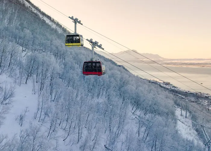 Arctic Elegance By Paramount