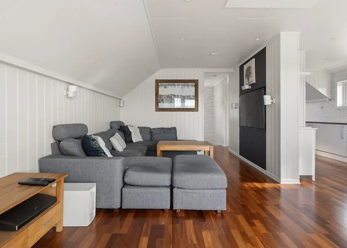 Arctic Elegance By Paramount Willa